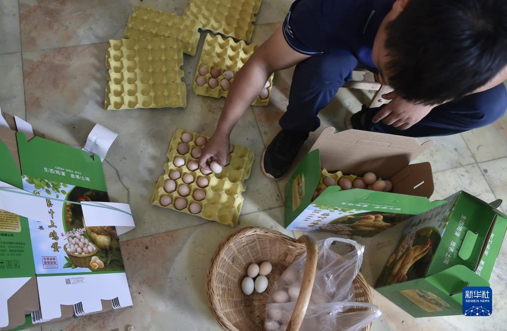 皇冠手机登录地址2